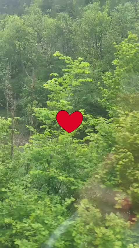 @Angelinaaa