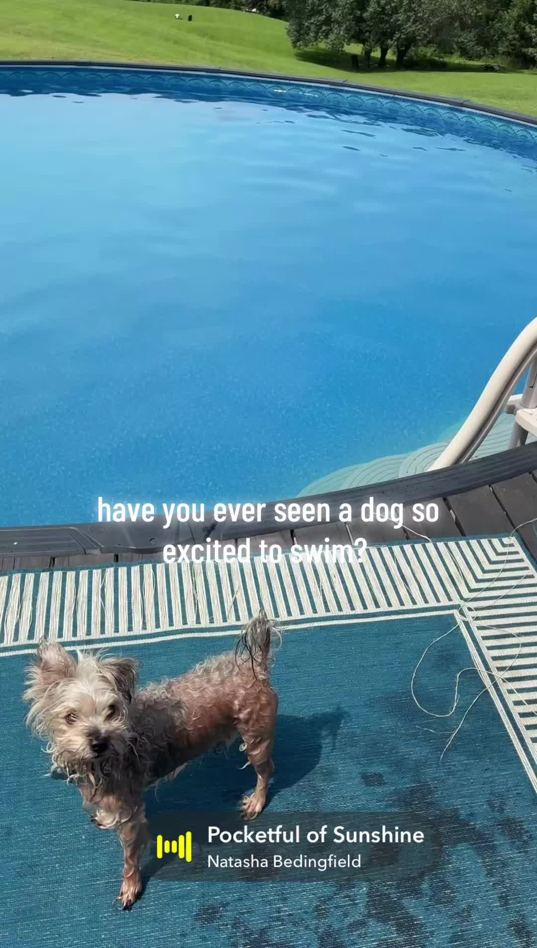 @Kam