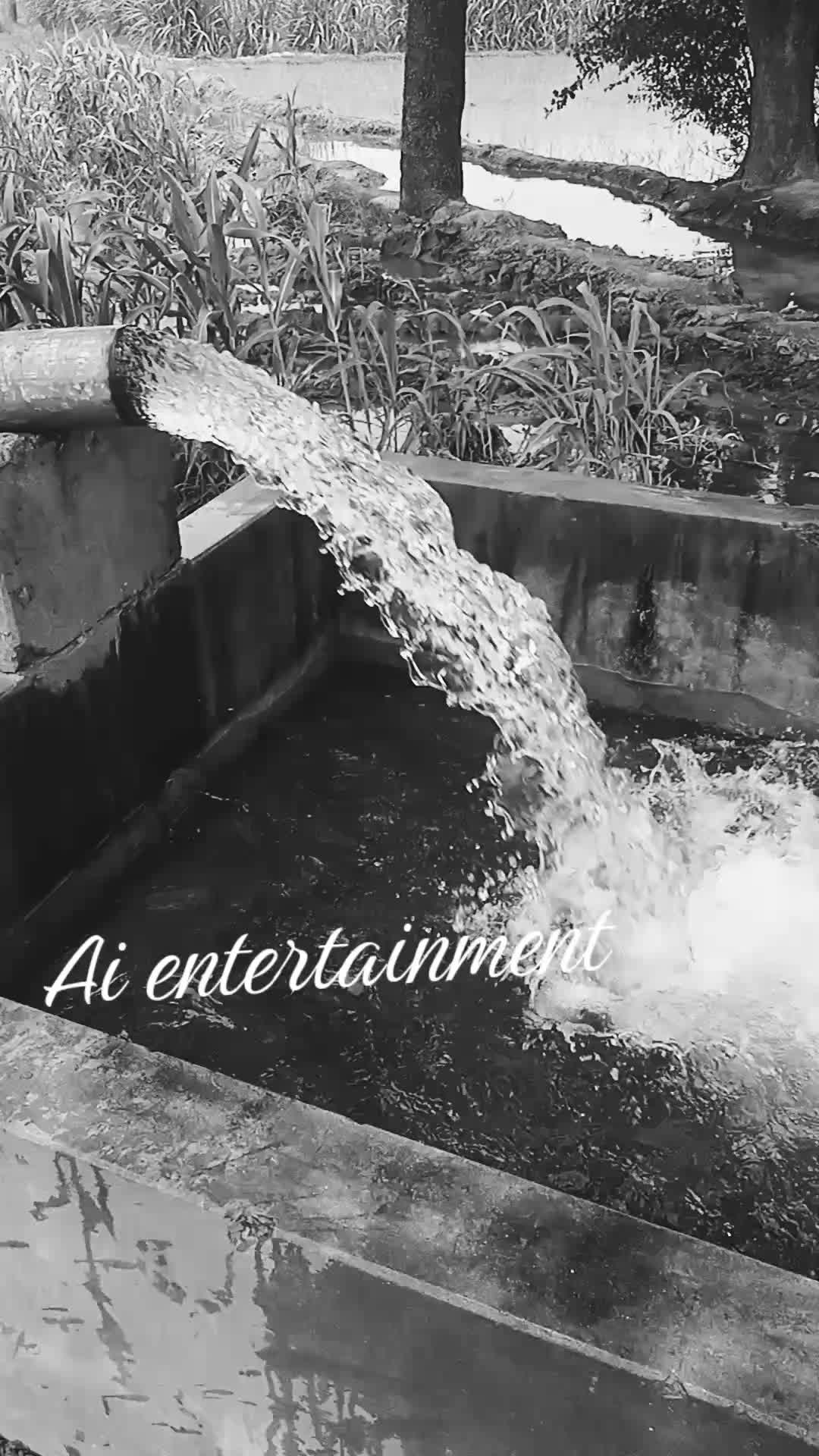 @Ai Entertainment