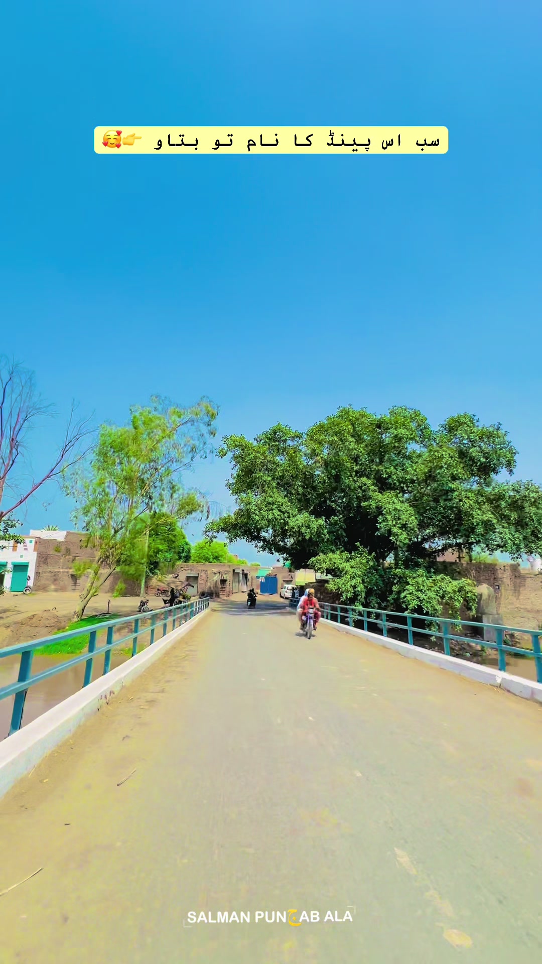 @Salman punjab ala