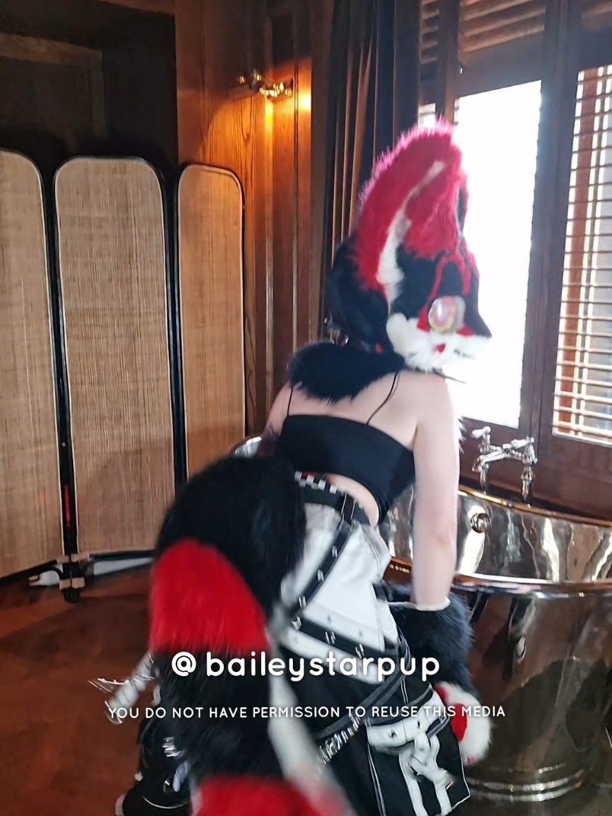 @Bailey (lilpixiekitten)