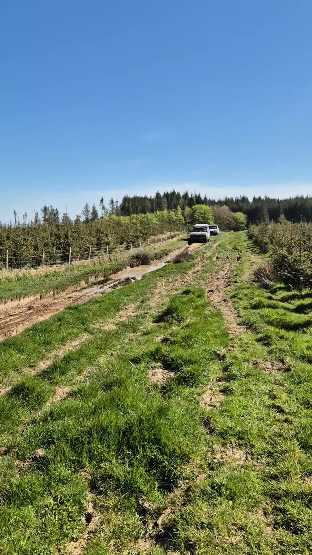 @slate and steel 4x4
