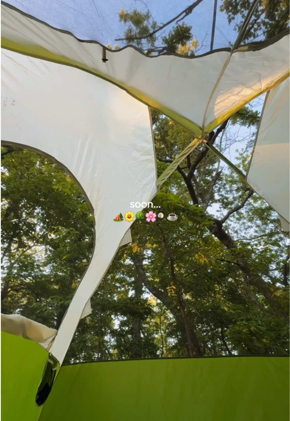 @Camping ideas