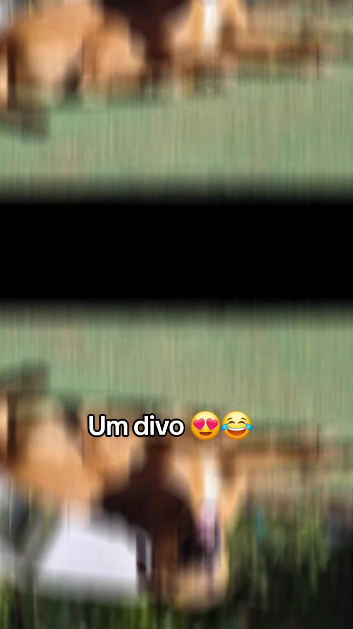 @Sthefany e Elis Maria 😍