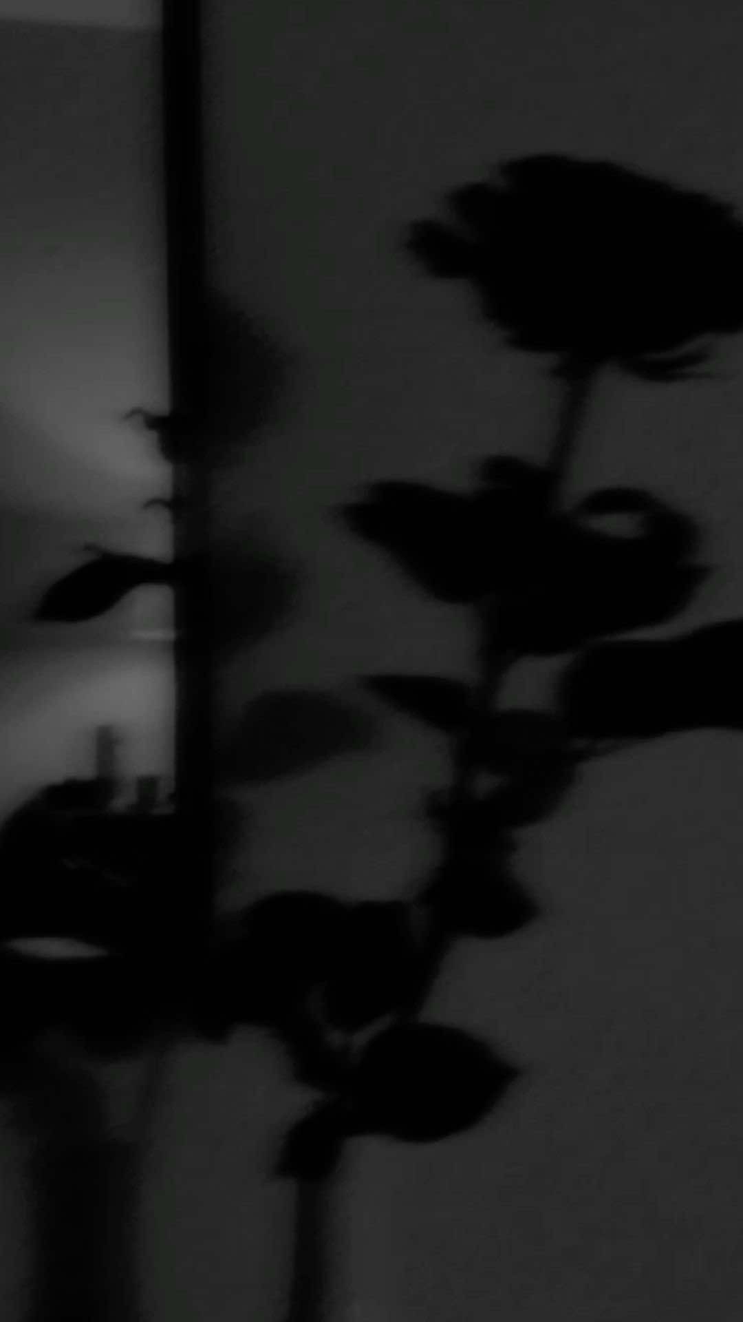 @🥀𝓙𝓪𝓭𝓮&rsquo;𝓼 𝓛𝓲𝓫𝓻𝓪𝓻𝔂🥀
