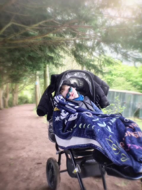 @Vicky 💜#lissencephalymomma💙