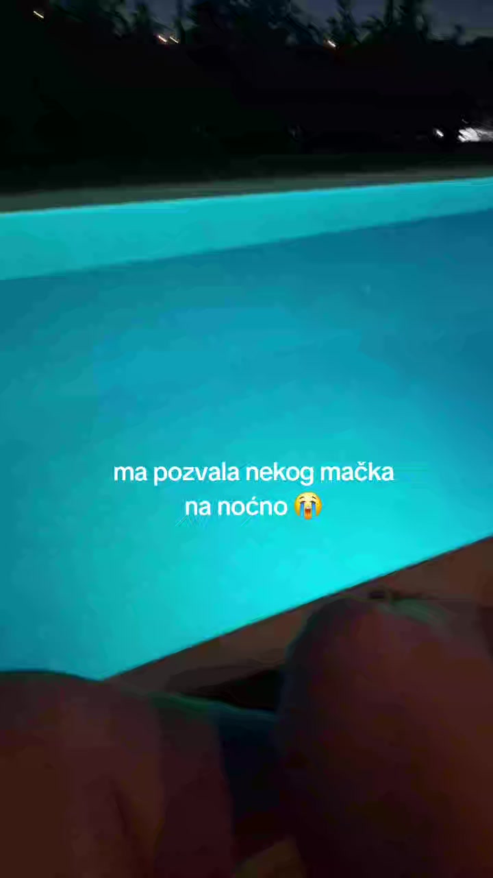 @N🐆