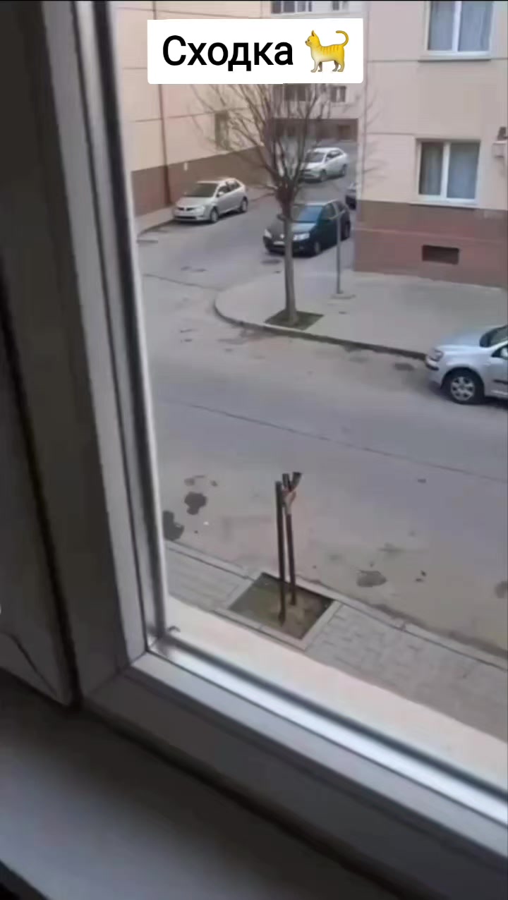 @Лариса