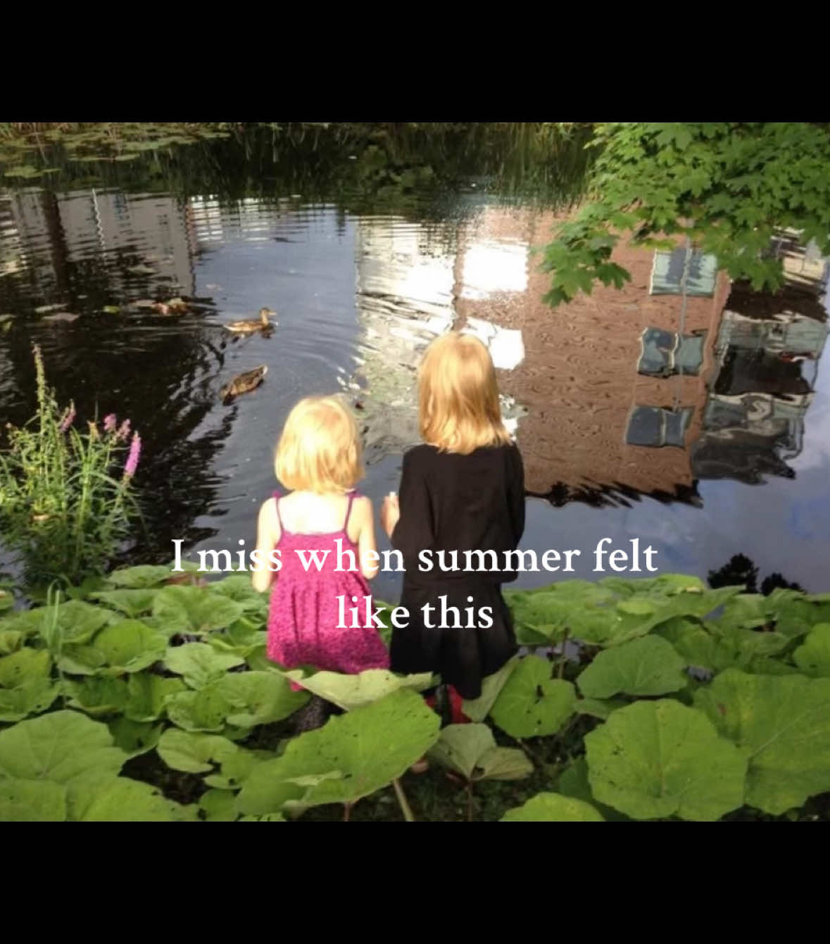 @‧₊˚ ཐི⋆𝓛𝓲𝓼𝓪 ⋆ཋྀ ˚₊‧