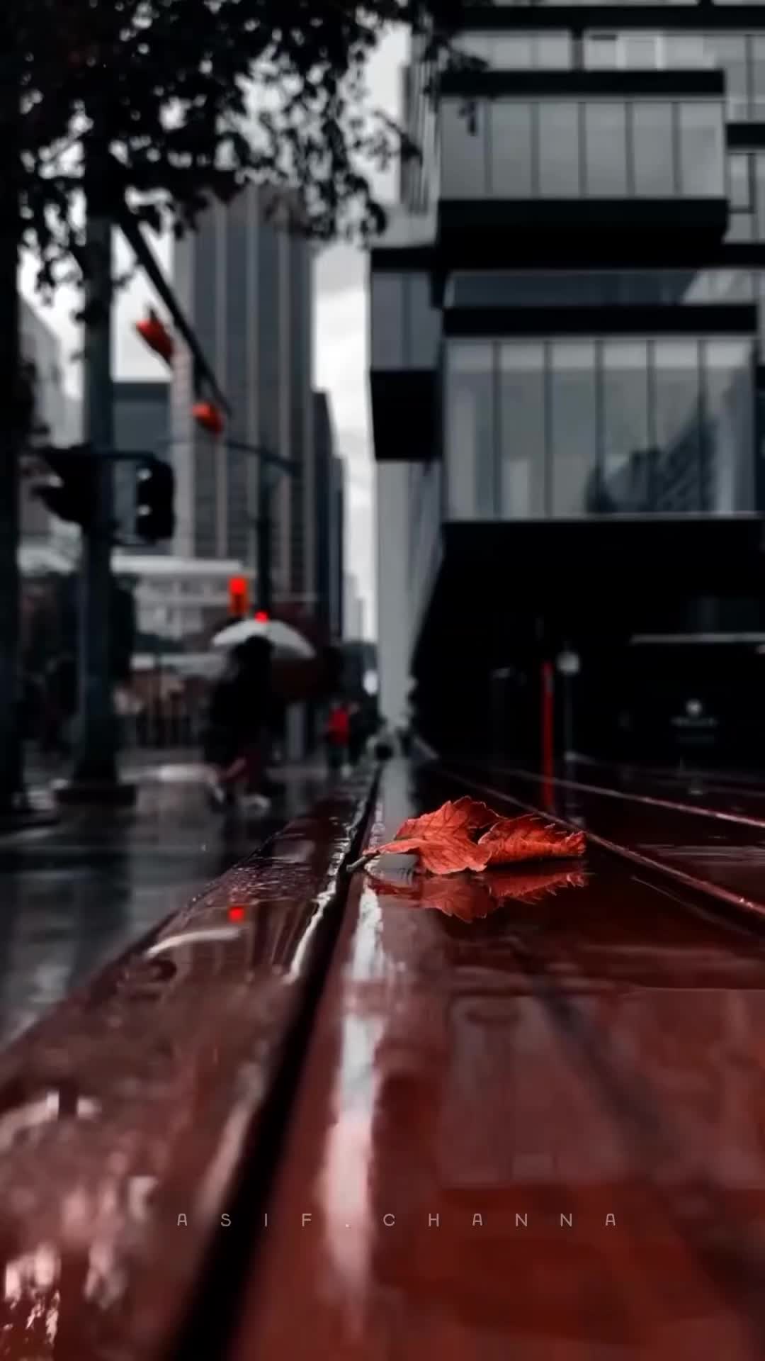 @ᗩαѕυ Ɩуяιcѕ ..
