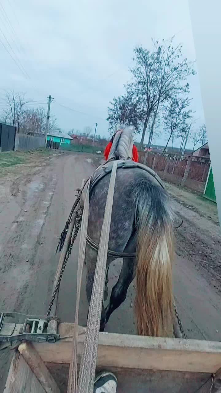 @ⅅᎯℛℐUЅ