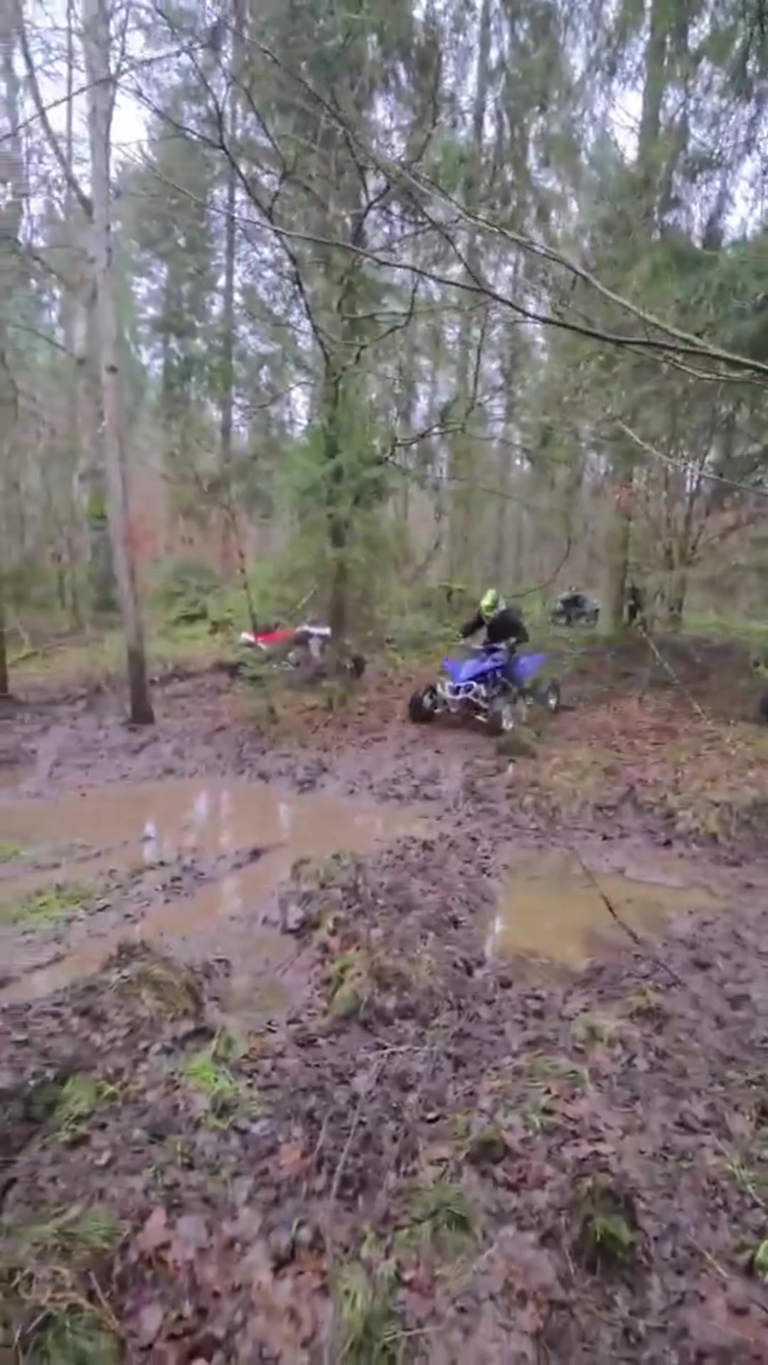 @anonymus riders