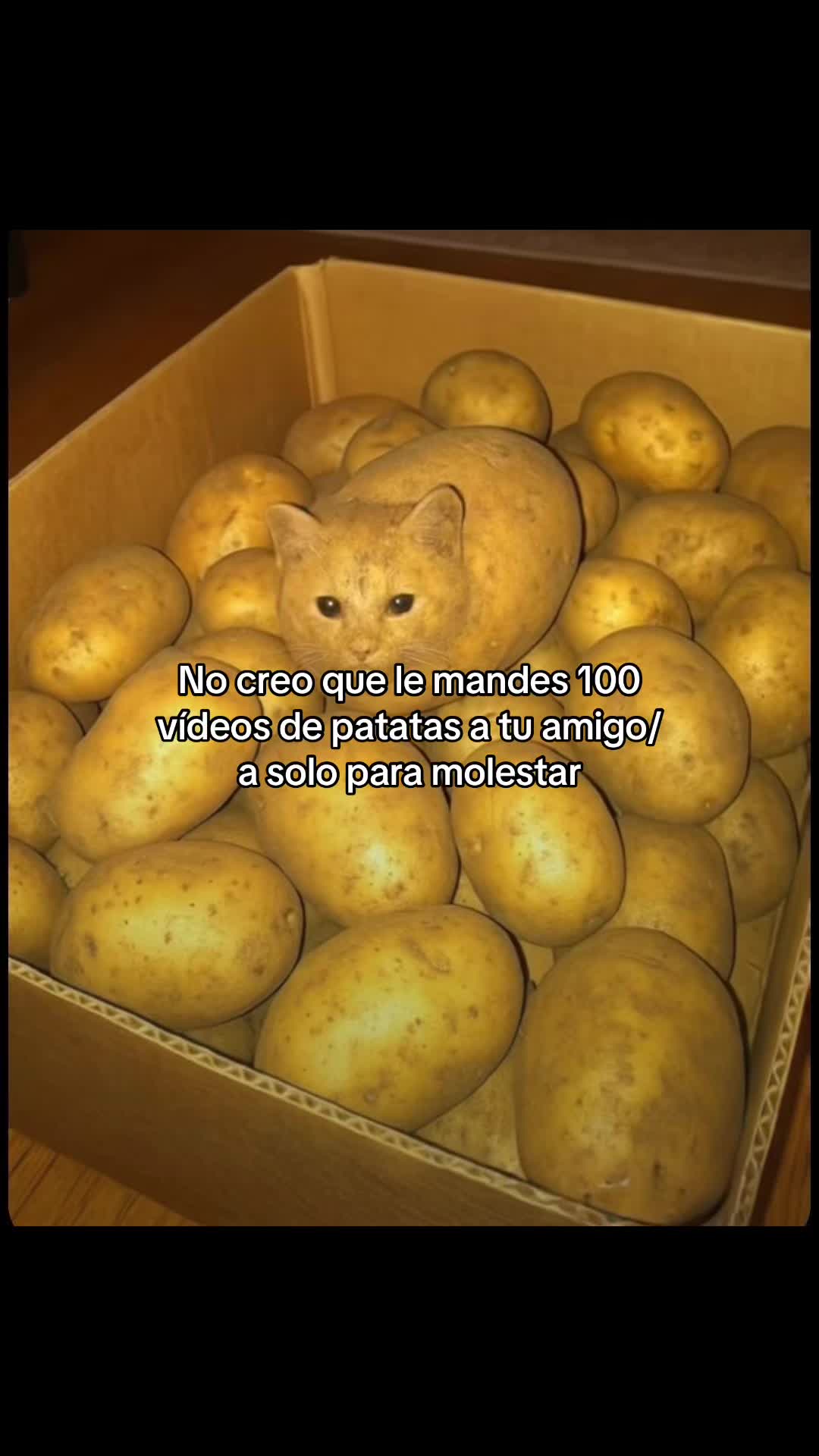@OT⁷🇲🇦