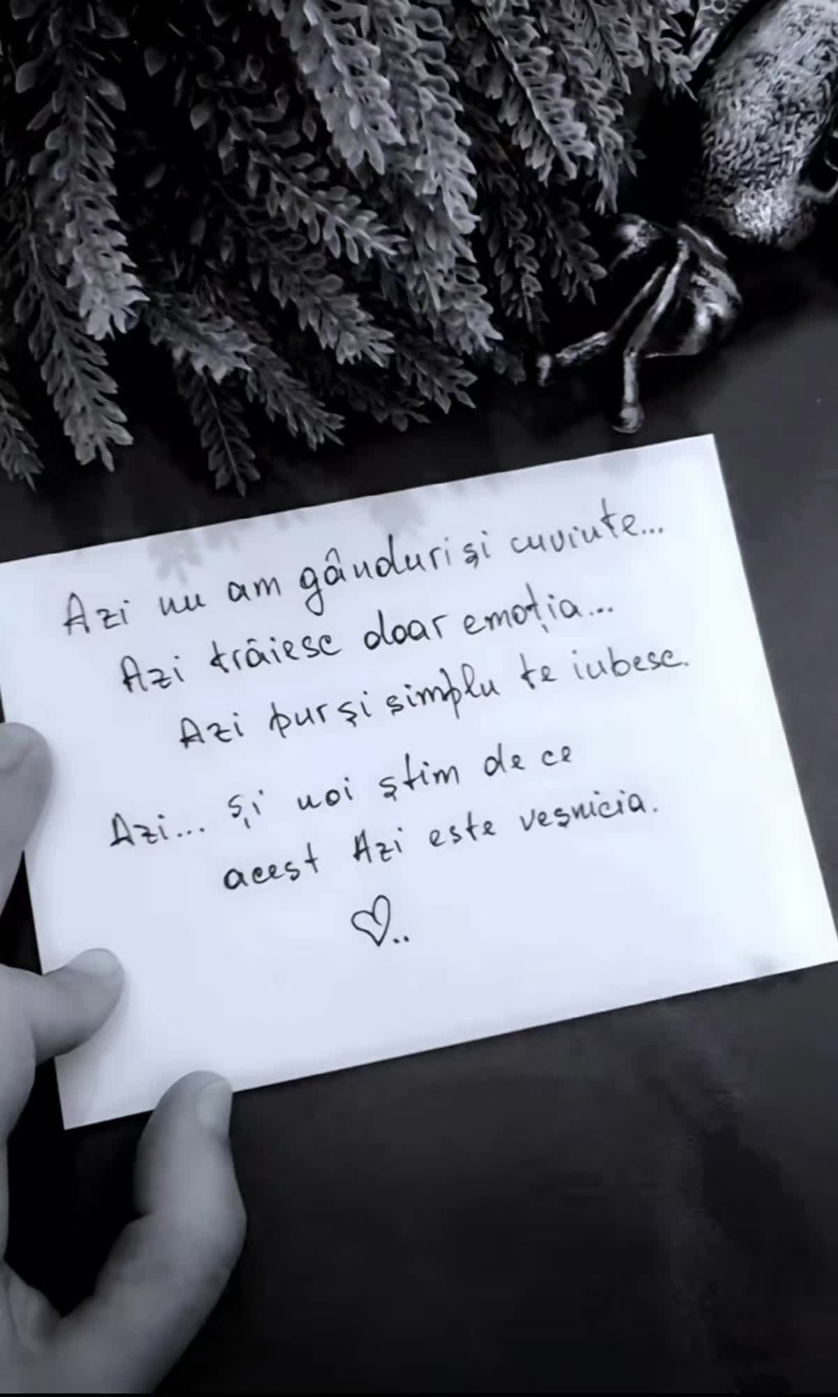 @Mihaela Zechmeister