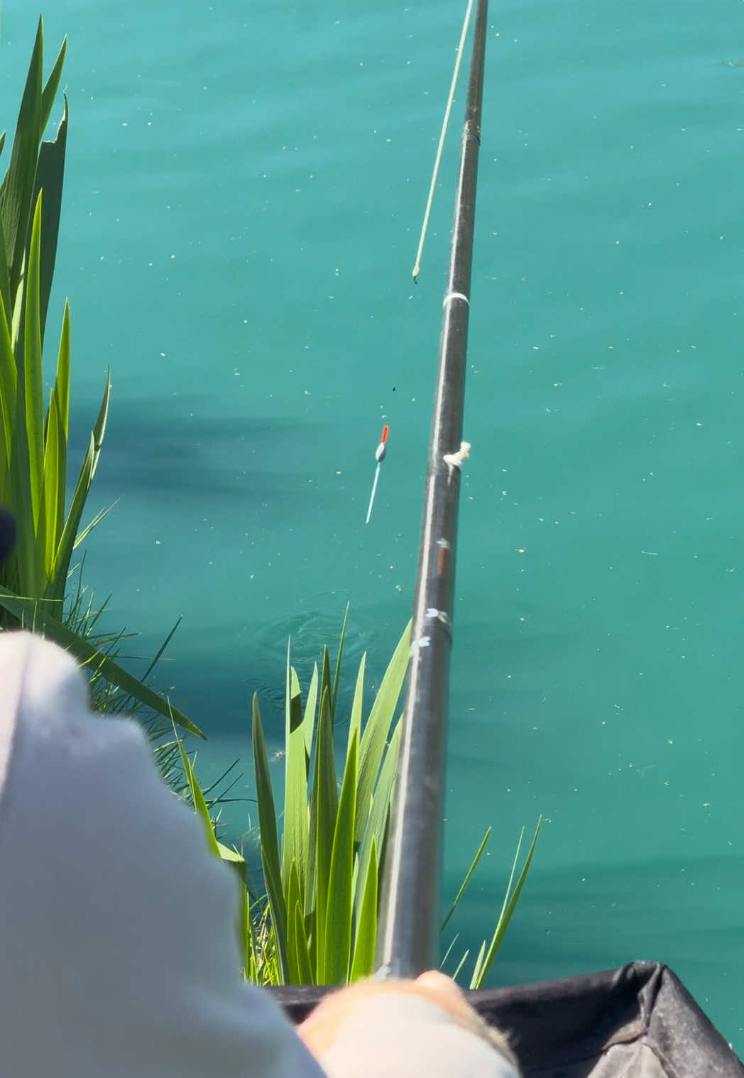 @Tackle Guru