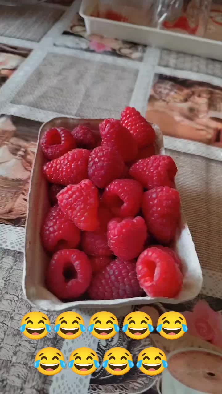 @T&uuml;ndi Varga