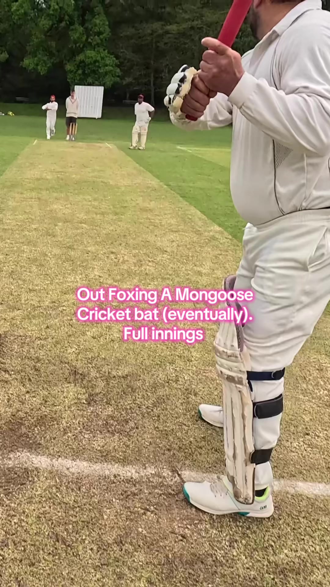 @MySide of Cricket