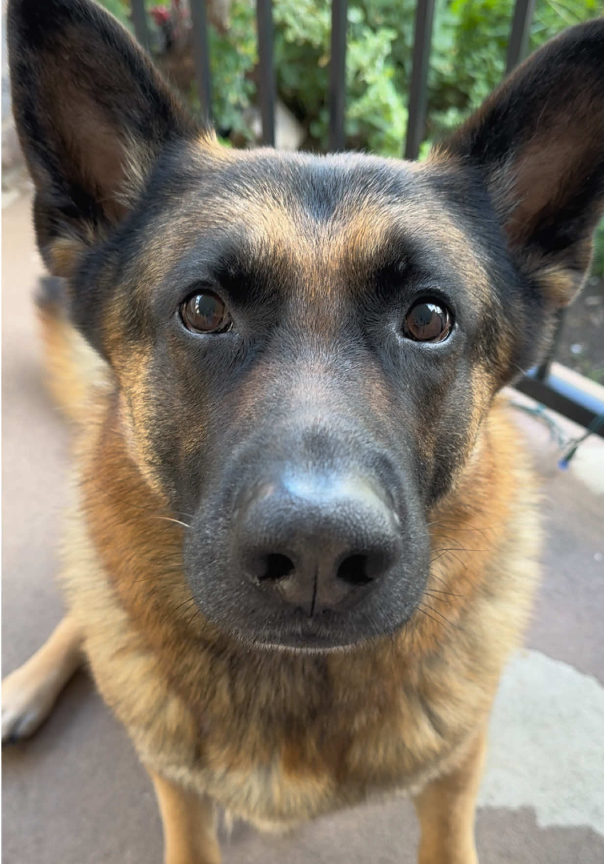 @Martygsd