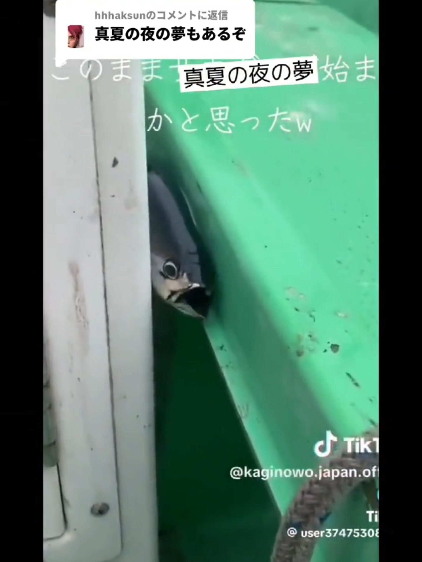 @タピオカ