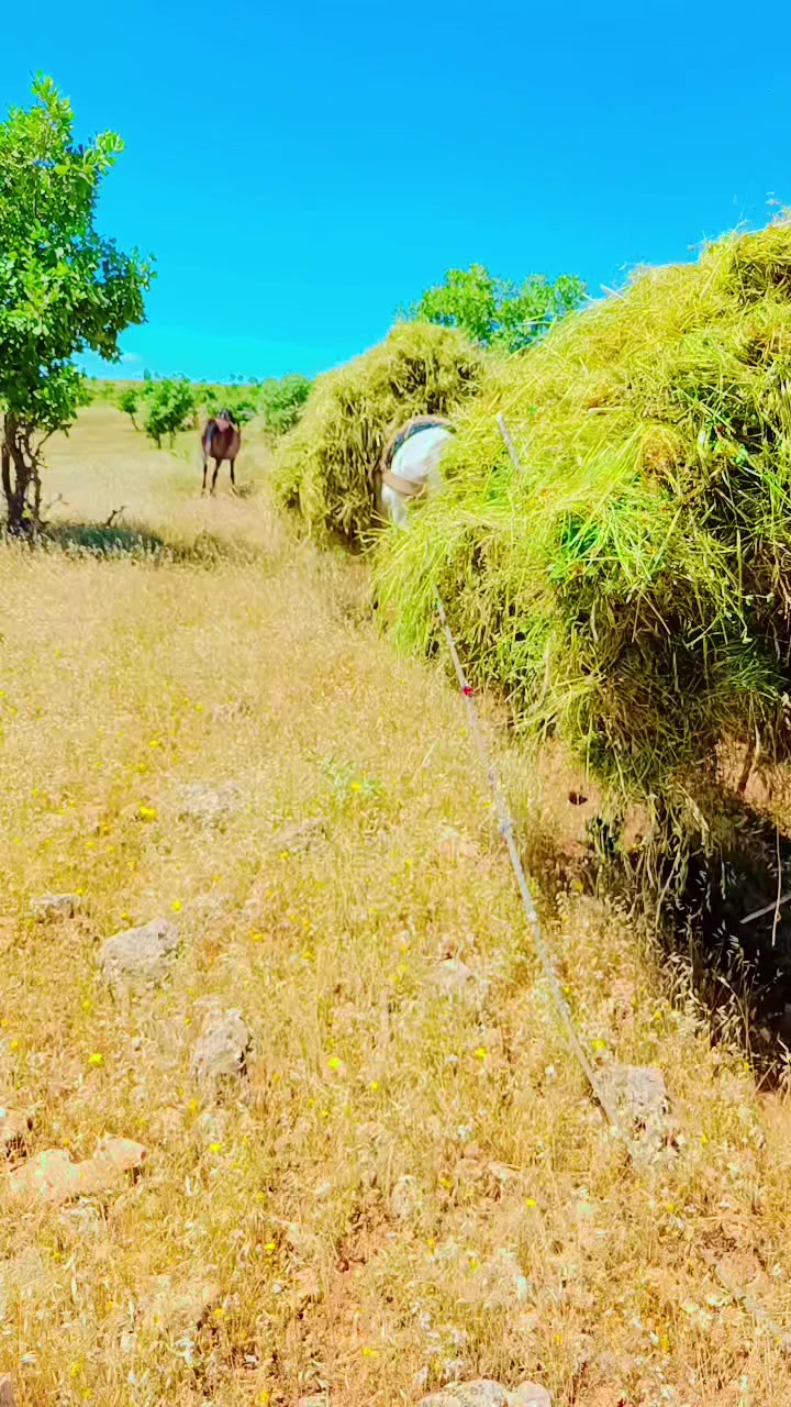 @Abdurrahim g&uuml;l
