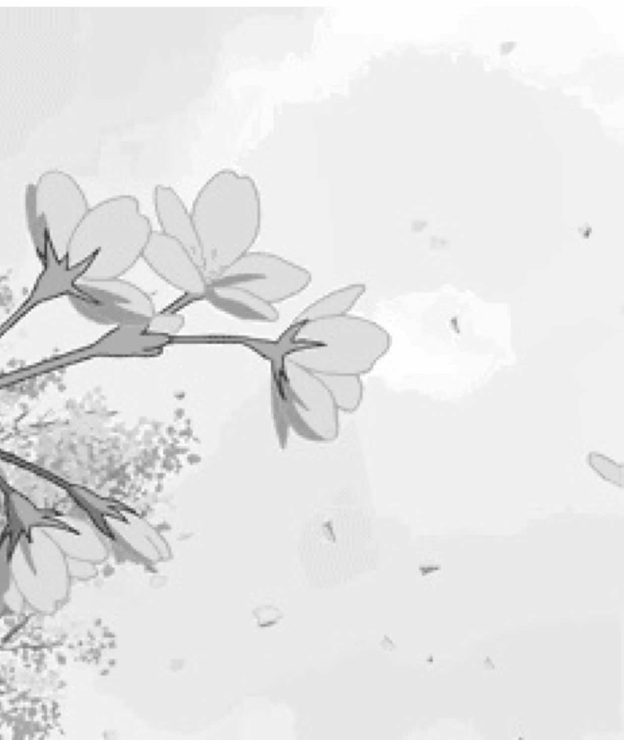 @⦻*’elowen.° - scaras gf☂️🦋
