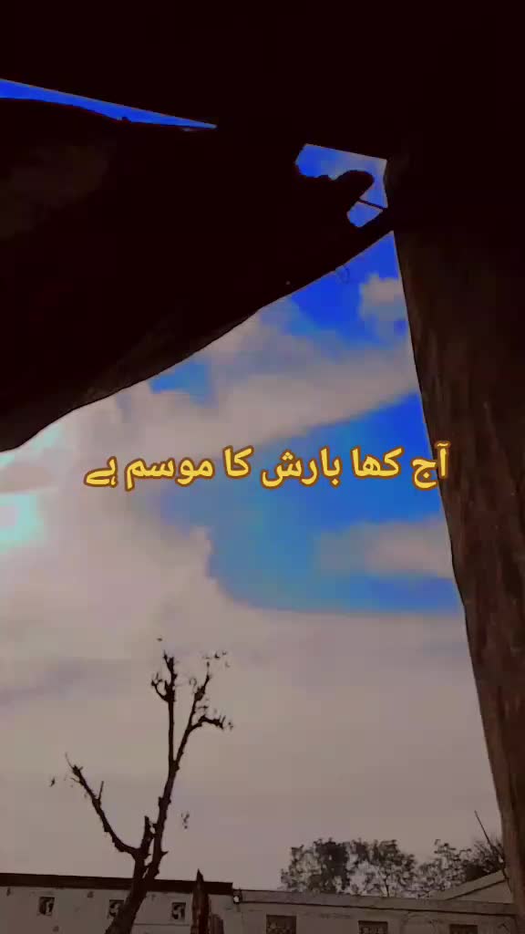 @TاNوEر_🫠