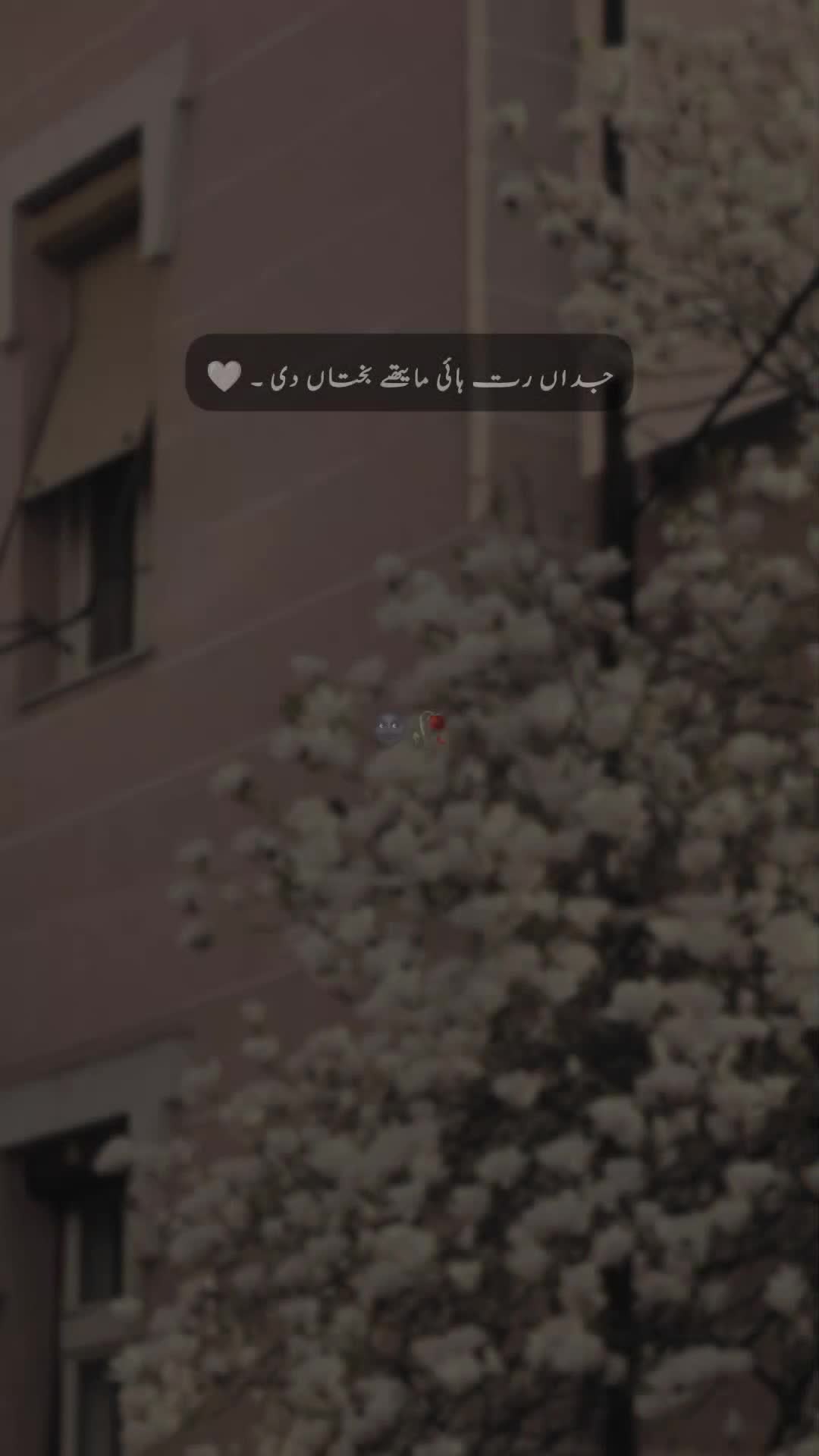 @𝐒 𝐚 𝐌 𝐢 🍂🫀