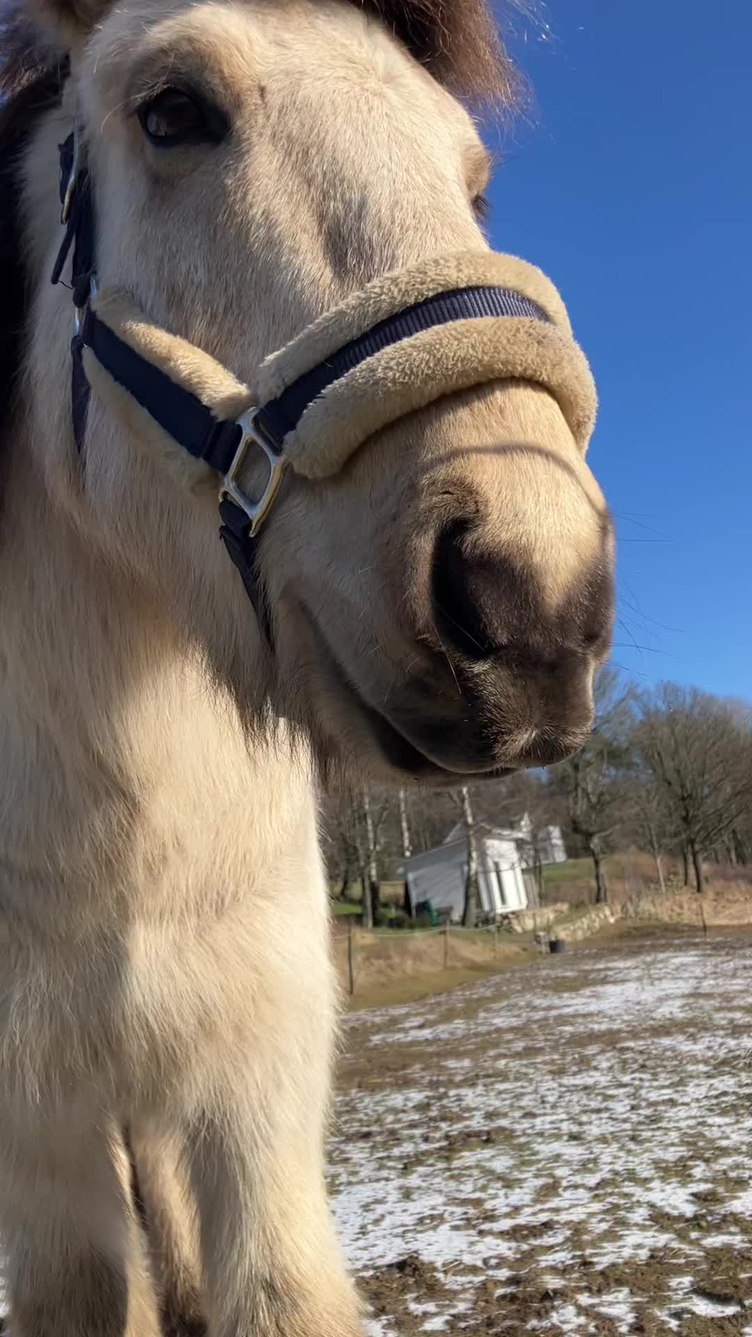 @𝓝𝓮𝓵𝓵𝓲𝓮💘