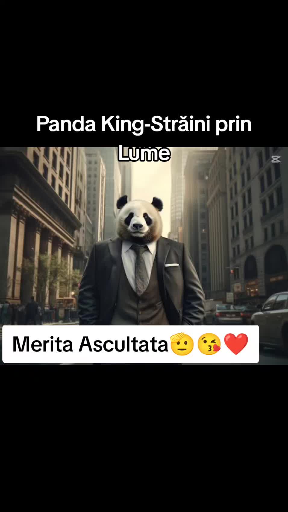 @Panda King