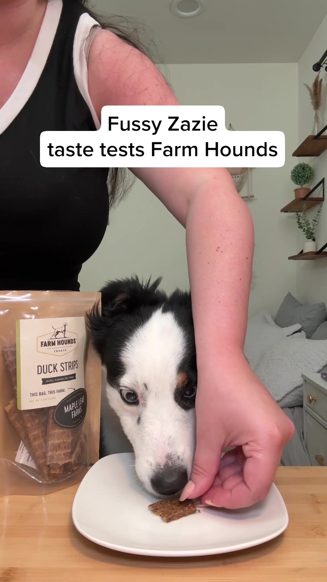 @Farm Hounds Treats