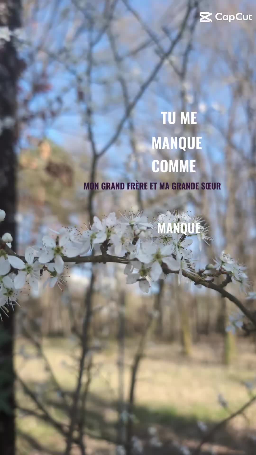 @user.💭💭