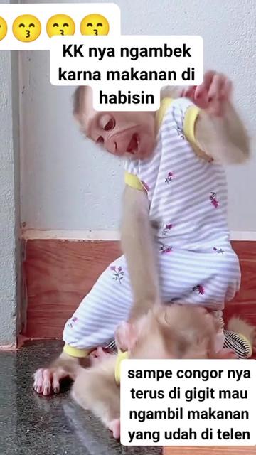 @babah zikri