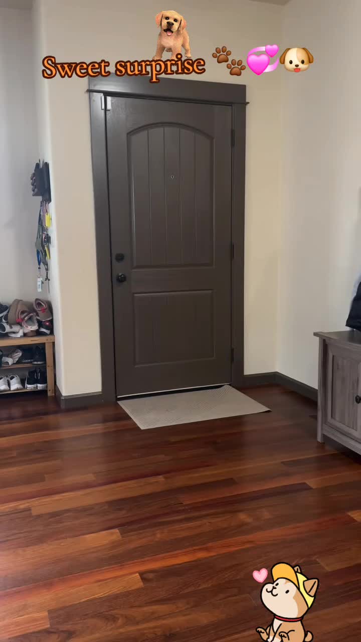 @🤣Vidéos Drôles.Zzz