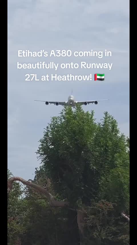@Aviation Dan