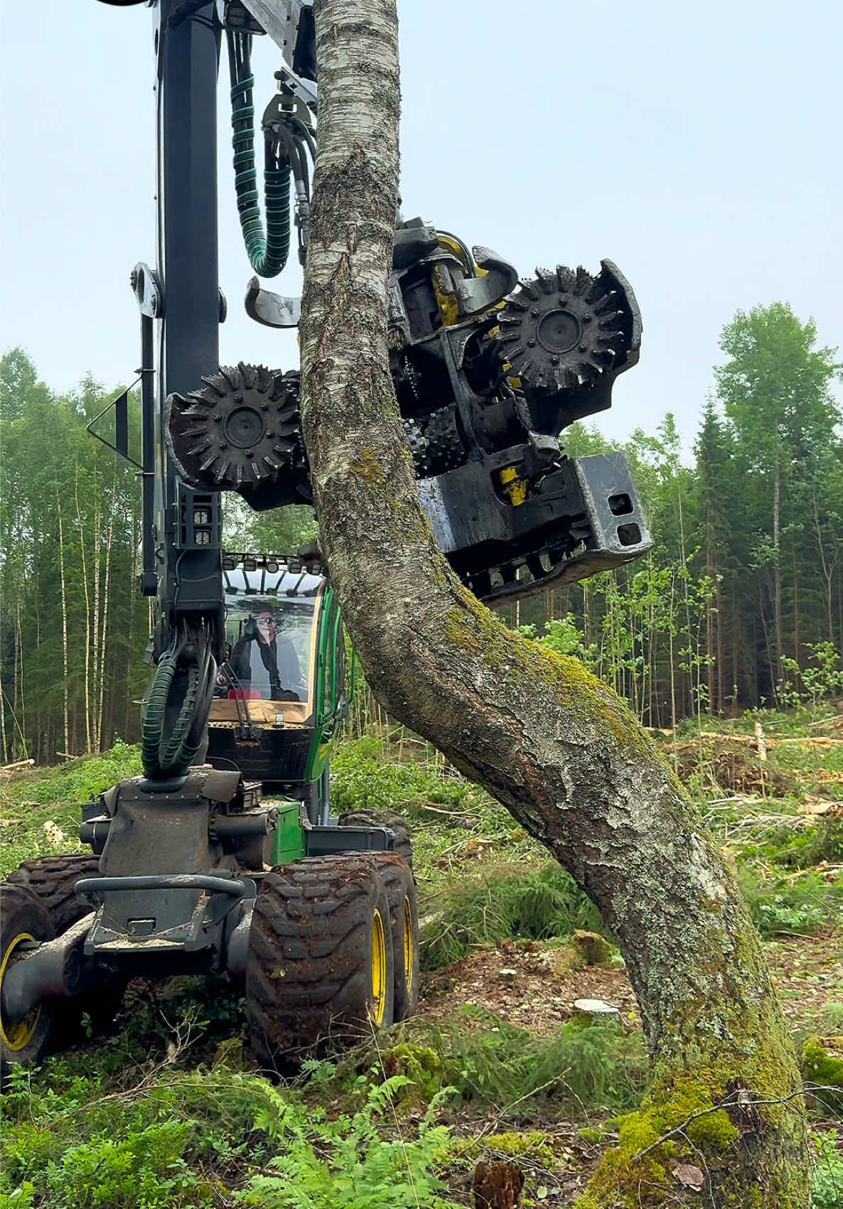 @Metsätalous