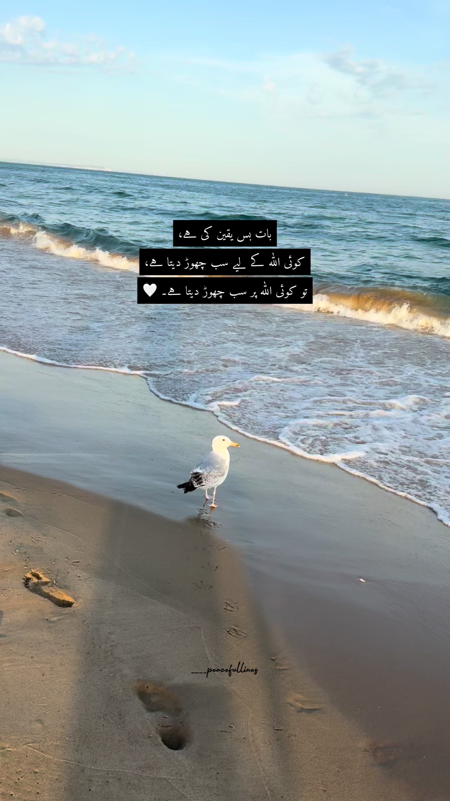 @🍃ᴵᵇᵗᵃˢᵃᵐ🍃