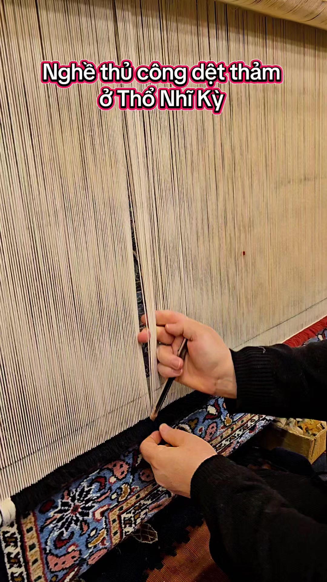 @Sen Hồng