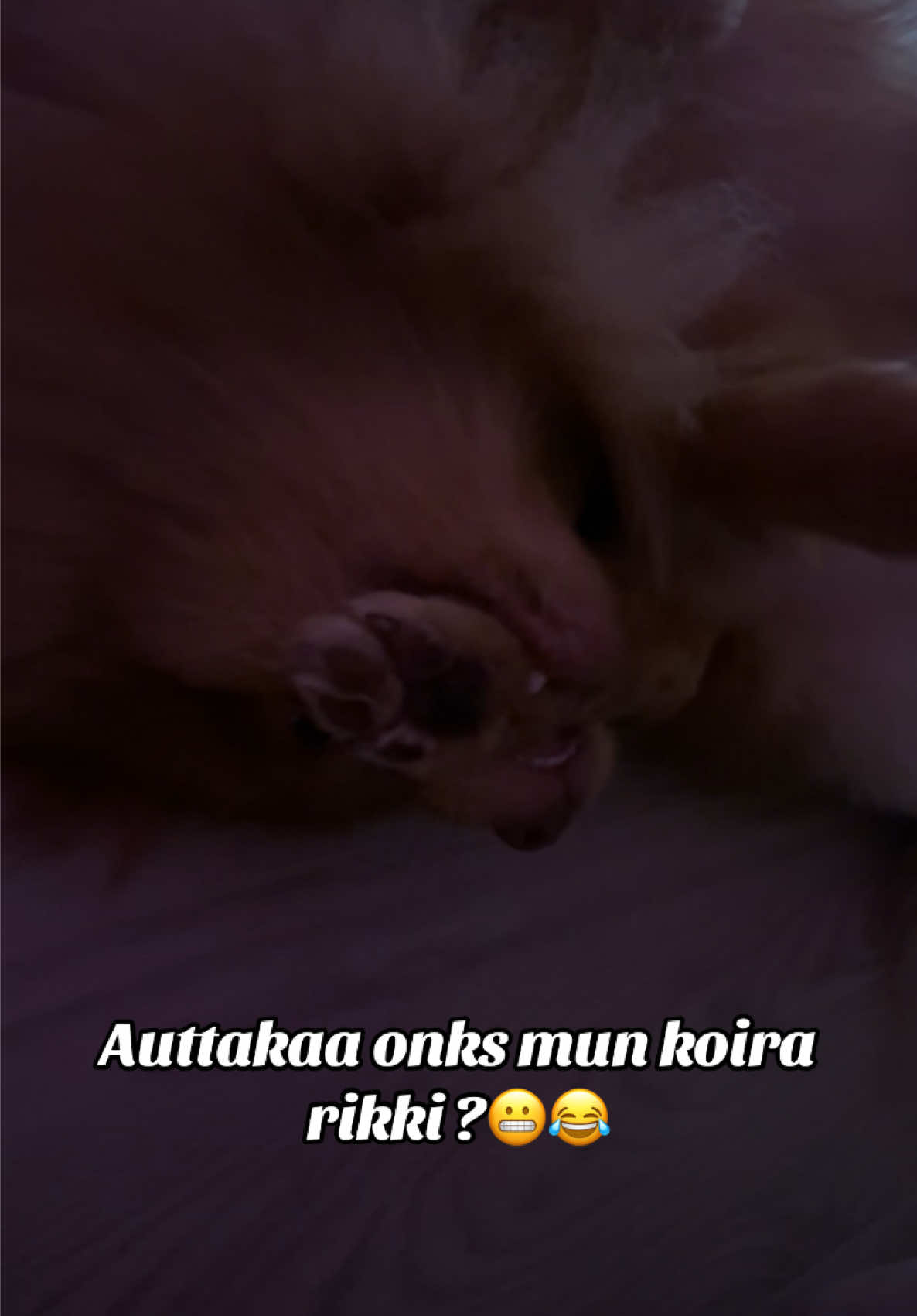 @Vimpulano