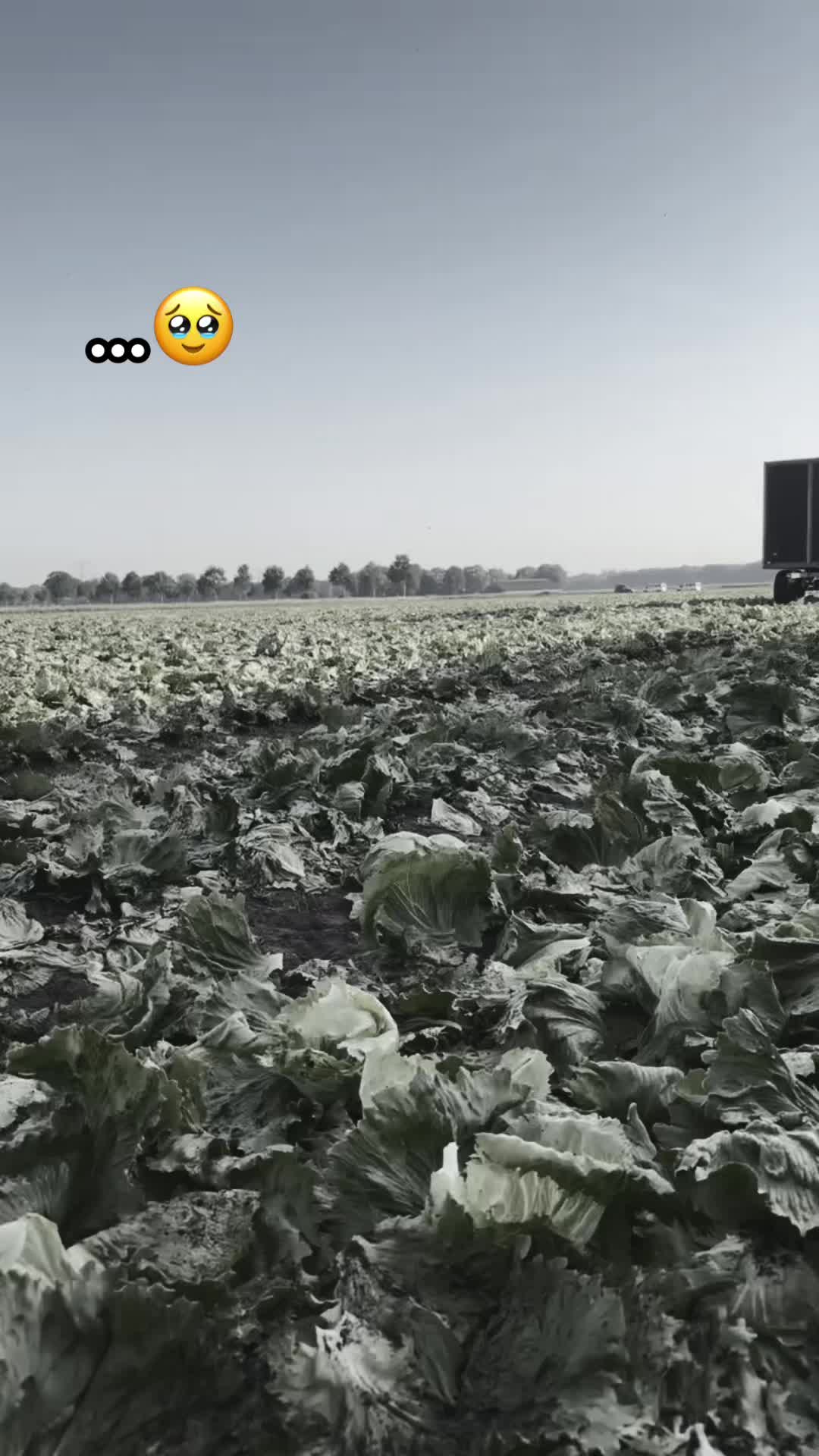 @Iuliiii🩷