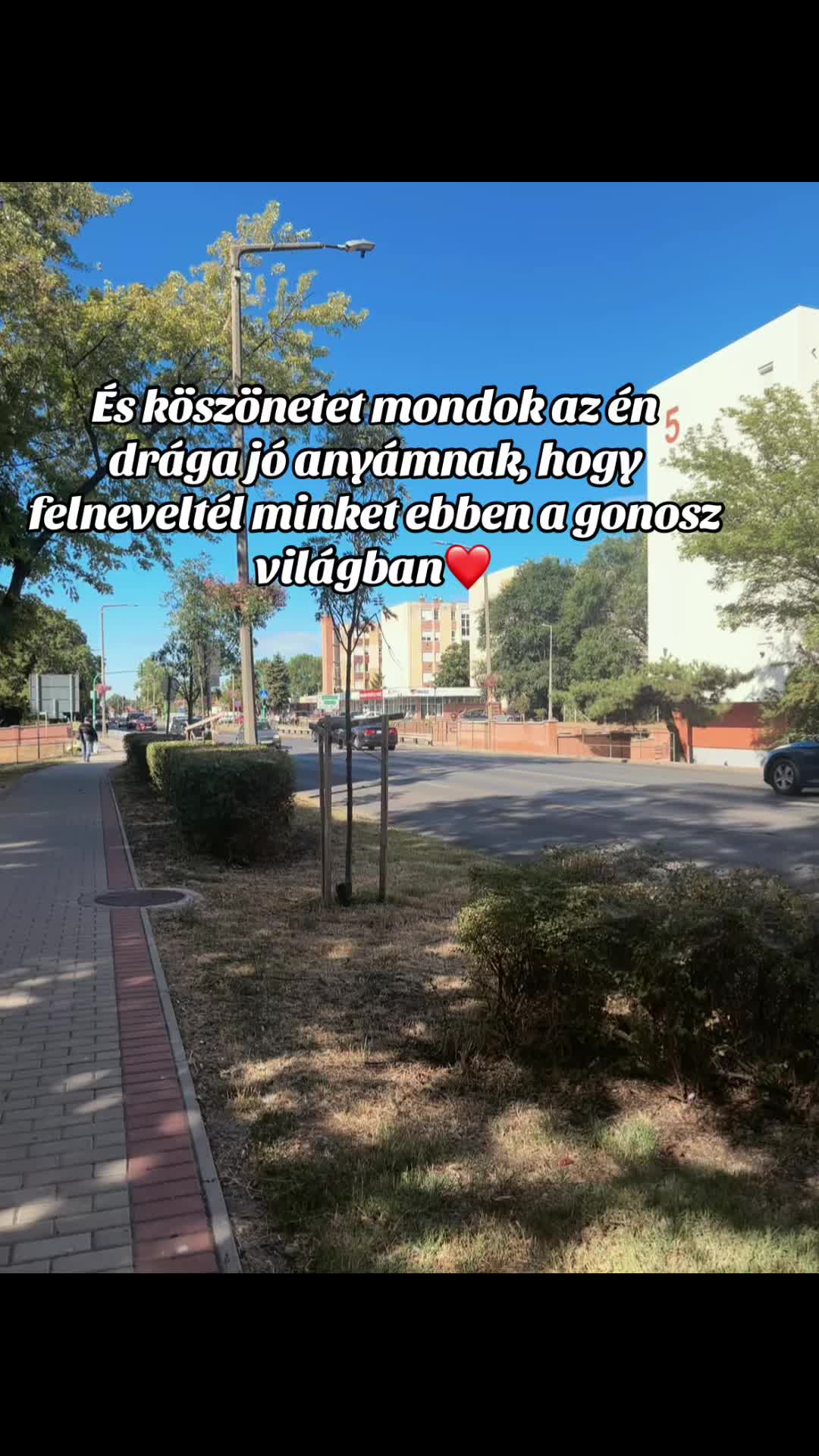 @🤎⚜️Hannaa⚜️🤎