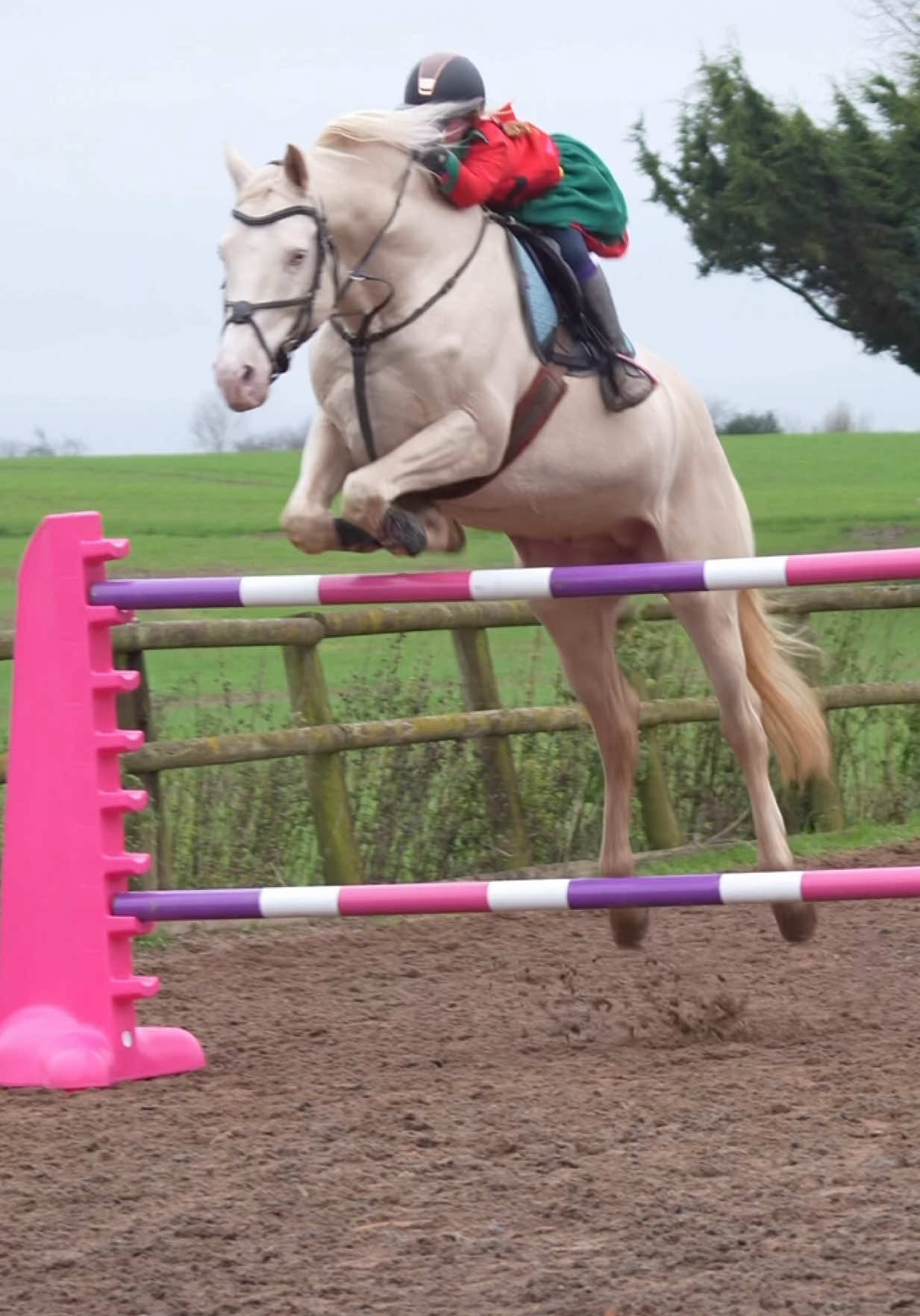@Jumping With Ivy