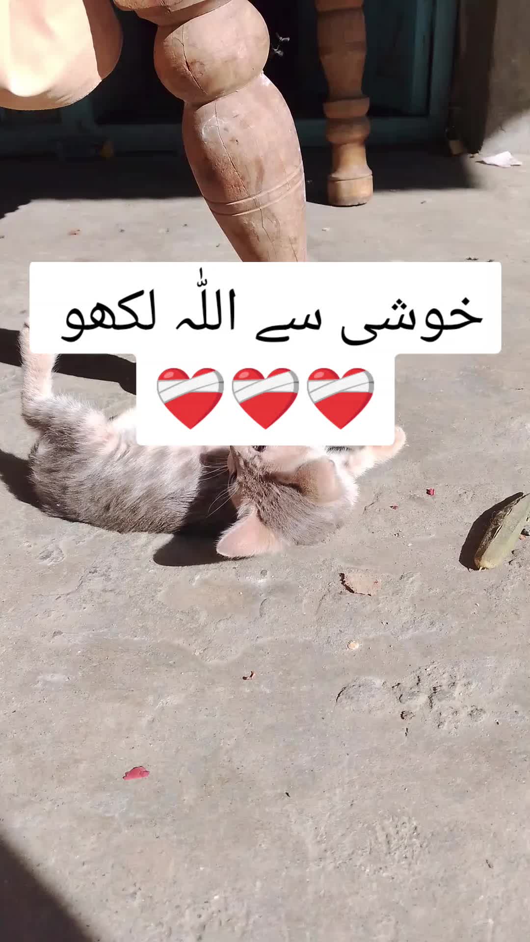 @𝗜𝗦𝗟𝗔𝗠𝗜𝗖 𝗩𝗜𝗕𝗘𝗦 ✅