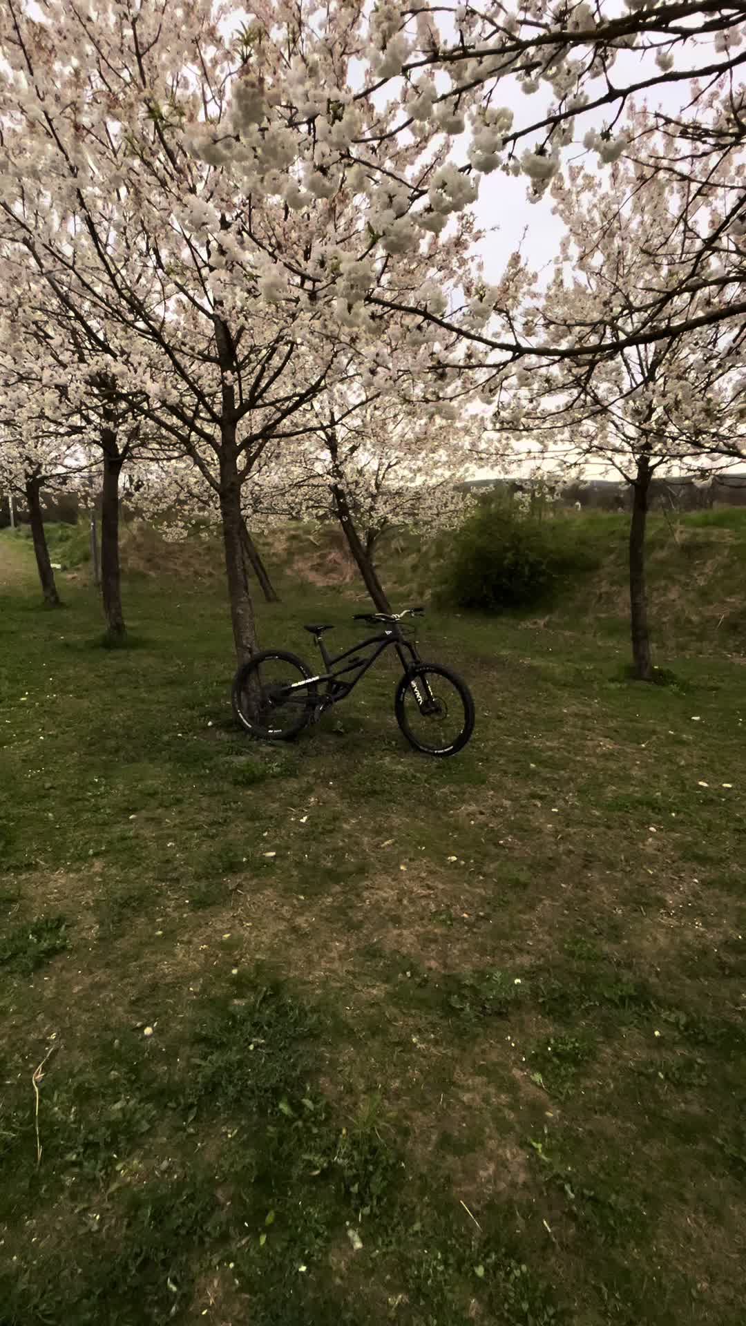 @𝓝𝓸 𝓼𝓽𝓮𝓮𝔃