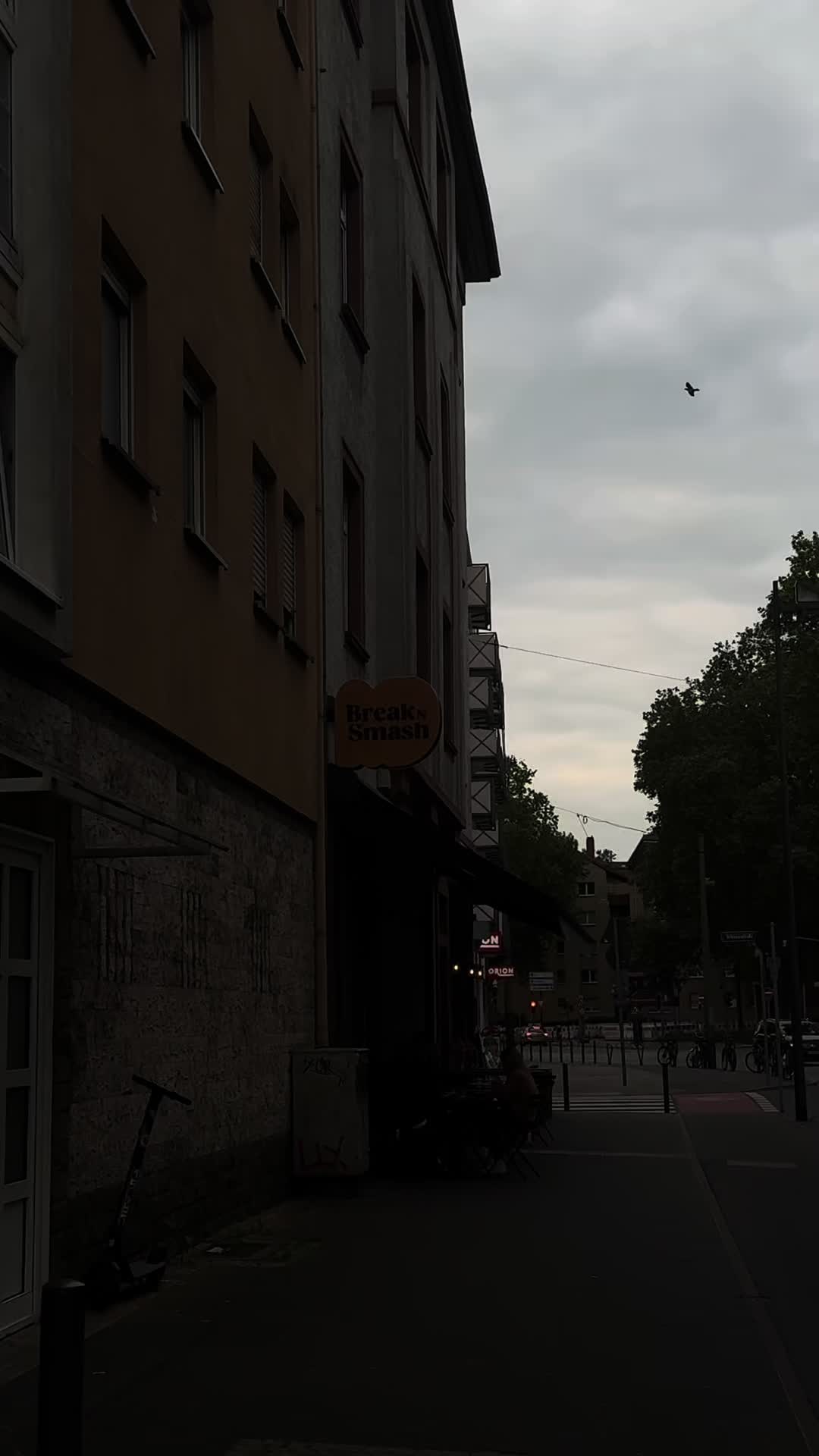 @𝓐𝓷𝓪