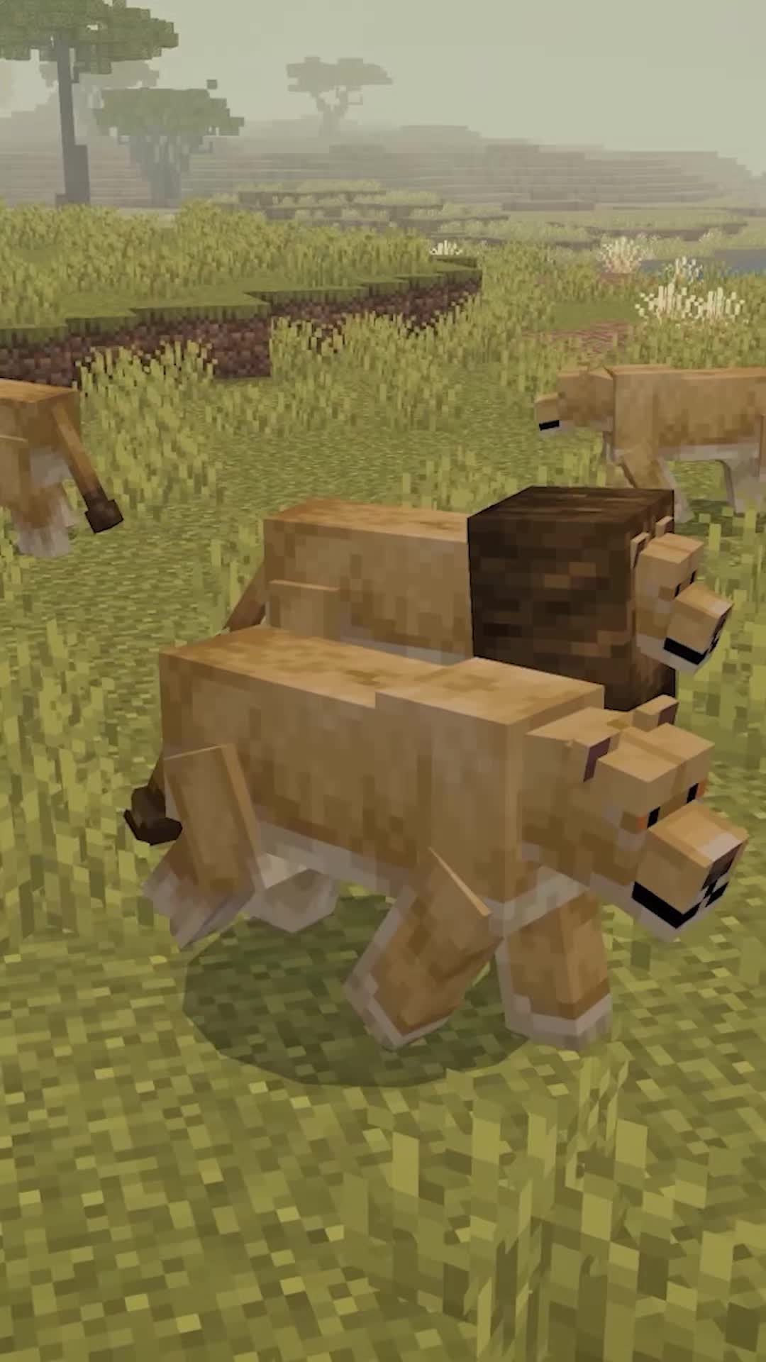 @CompyCraft