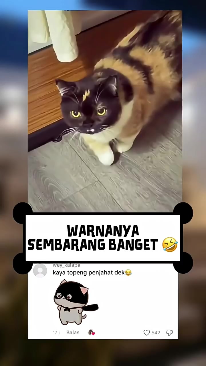 @Kiki