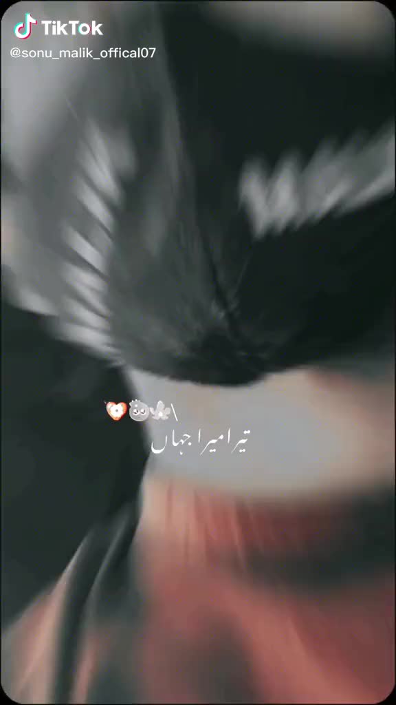 @🦋Shaban 𝕄𝔸𝕃𝕚𝕂🦋