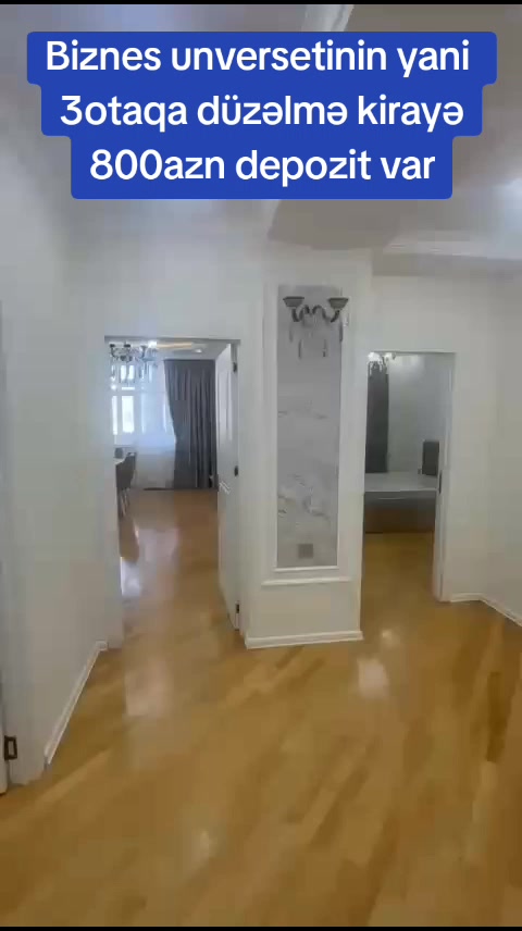 @🏤REAL ESTATE🏤
