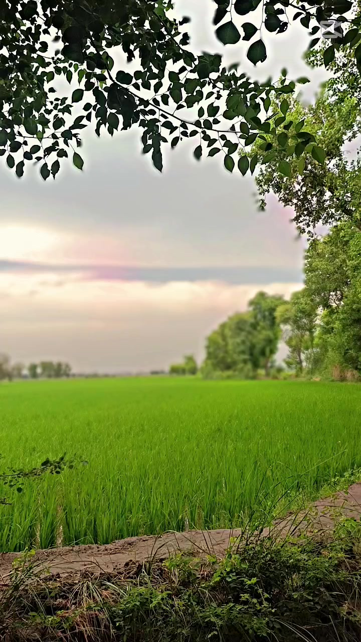 @𝓈𝒶𝒿𝒿𝒶𝒹 𝒶𝓁𝒾