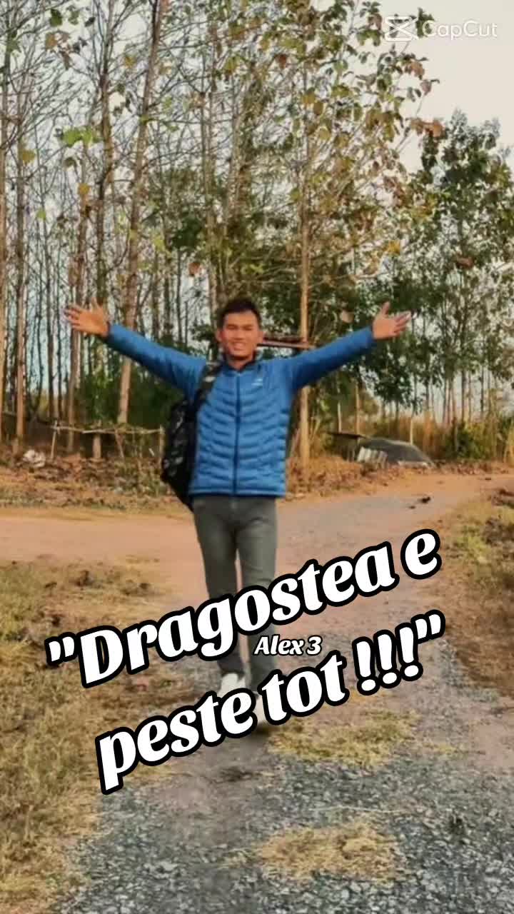 @ALEX 3